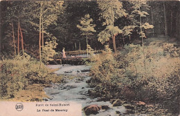 Luxembourg - SAINT HUBERT - Foret De Saint HUBERT -  Le Pont De Mauricy - Saint-Hubert