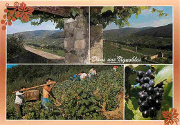 Vignes - Dans Nos Vignobles - Multivues - Les Porteurs De Bennes - Vendange Acheminée à Dos D'homme - CPM - Voir Scans R - Weinberge
