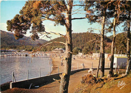 63 - Lac Chambon - Vue Générale De La Plage - CPM - Carte Neuve - Voir Scans Recto-Verso - Andere & Zonder Classificatie