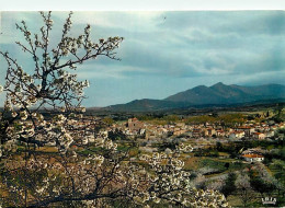 66 - Céret - Vue Générale Au Printemps - CPM - Voir Scans Recto-Verso - Autres & Non Classés