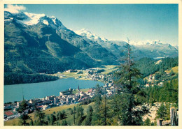 Suisse - GR Grisons - St. Moritz-Dorf Und Bad Mit Piz Rosatsch, Piz Corvatsch Und Piz Margna - CPM - Carte Neuve - Voir  - Autres & Non Classés