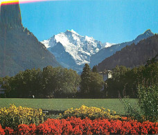 Suisse - BE Berne - Interlaken - Jungfrau - CPM - Carte Neuve - Voir Scans Recto-Verso - Sonstige & Ohne Zuordnung