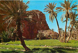 Maroc - Maroc Typique - La Vallée D'Amtodi - CPM - Voir Scans Recto-Verso - Other & Unclassified