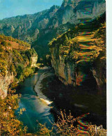 48 - Les Gorges Du Tarn - Les Détroits - Carte Neuve - CPM - Voir Scans Recto-Verso - Gorges Du Tarn