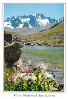 05 - Hautes Alpes - Parc National Des Ecrins - Lac De L'Etoile - Les Agneaux - Fleurs - CPM - Voir Scans Recto-Verso - Autres & Non Classés