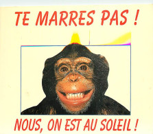 Animaux - Singes - Chimpanzé - Carte à Message - CPM - Voir Scans Recto-Verso - Affen