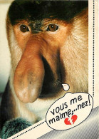 Animaux - Singes - Nasique - Carte à Message - Carte Humoristique - CPM - Voir Scans Recto-Verso - Monkeys