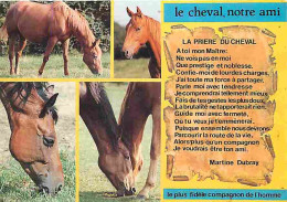 Animaux - Chevaux - La Prière Du Cheval - Multivues - CPM - Voir Scans Recto-Verso - Horses