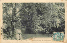 94 - Champigny Sur Marne - Le Tour De Marne - Etude D'arbre - CPA - Voir Scans Recto-Verso - Champigny Sur Marne