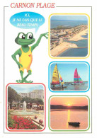 34 - Carnon Plage - Multivues - Illustration Grenouille - CPM - Voir Scans Recto-Verso - Autres & Non Classés