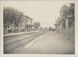 Photographie De La Gare De GERGY Avec Train - Treinen