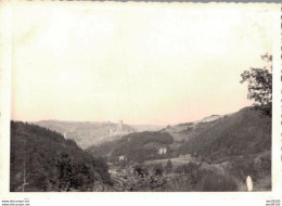 PHOTO 10 X 7 CMS VUE GENERALE D'UN PAYSAGE EN ALLEMAGNE REGION DE WITTLICH EN 1950 - Lugares