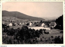 PHOTO 10 X 7 CMS VUE GENERALE D'UN PAYSAGE EN ALLEMAGNE REGION DE WITTLICH EN 1950 - Lieux