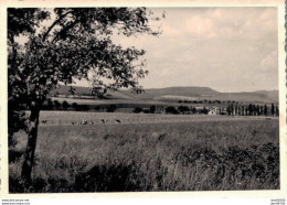 PHOTO 10 X 7 CMS VUE GENERALE D'UN PAYSAGE EN ALLEMAGNE REGION DE WITTLICH EN 1950 - Orte