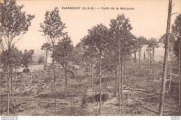 78 ELANCOURT FORET DE LA MARQUISE - Elancourt
