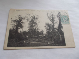 SEDAN ( 08 Ardennes )  CYCLONE DU 9 AOUT 1905  VUE GENERALE DU JARDIN BOTANIQUE APRES L OURAGAN  1905 - Sedan