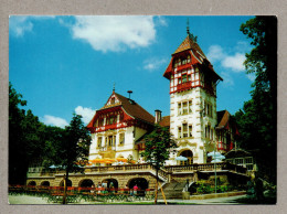 A3558} BRD - AK : Theresienstein In Hof - Hof