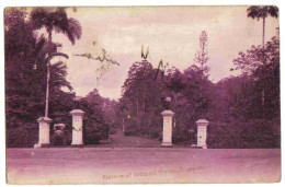 SINGAPOUR - Entrance Of Botanical Garden - Singapur