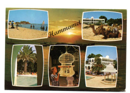 Vues D'hammamet - Tunisia