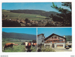 Berne LAMBOING Au Pied Du Chasseral En 1982 Troupeau De Vaches Boulangerie Voiture Autos OPEL Ou Ford ? - Bern