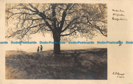 R166428 Children Under The Tree. Postcard. Dr. A. Defner - Monde