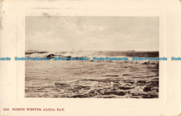 R166452 1151 North Western Algoa Bay. S. P. Bartlett. 1909 - Monde
