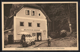 AK Dürnberg-Hallein, Salzbergwerk, Fotograf Am Wolfdietrich-Berghaus, Motiv Für Ansichtskarte  - Other & Unclassified