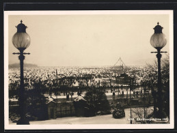 AK Zürich, Zürichseegefrörne Im Jahr 1929, Menschenmenge Auf Dem Zugefrorenen See  - Other & Unclassified