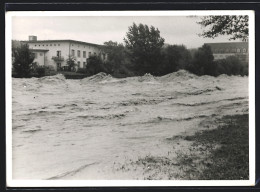 AK Langenthal, Ortspartie Bei Hochwasser Um 1950  - Langenthal