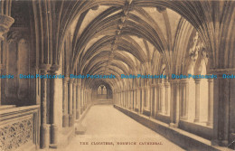 R166482 The Cloisters. Norwich Cathedral. 8744 - Monde
