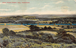 R166895 View From Gibbet Hill. Hindhead. Inge Series. 1906 - Monde