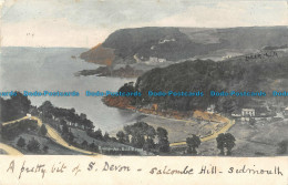 R166900 Salcombe. Bolt Head. Friths Series. 1904 - Monde