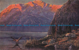 R166513 Landscape. Painting. S. Hildesheimer. No. 5264. Postcard - Monde