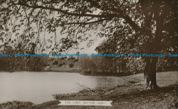 R166948 The Lake. Milton Abbey. Hobbs And Son. RP - Monde