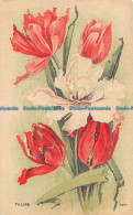 R167031 Tulips. 3407. 1909 - Monde