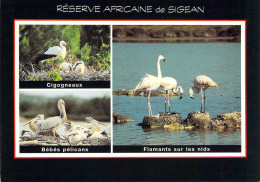 11 - Sigean - Réserve Africaine - Multivues - Sigean