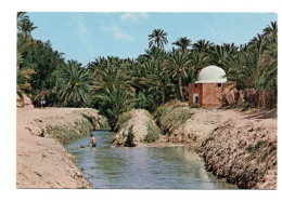 Tozeur ,rivière Et Marabout Dans L'oasis - Tunisia