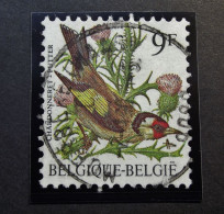 Belgie Belgique - 1985 -  OPB/COB  N° 2190 -  Putter - Buzin -  9 F - Moerbeke - Waas - 1992 - 1985-.. Birds (Buzin)