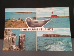 ROYAUME UNI -   '  "  THE FARNE    ISLAND  Carte Souvenir"   -            Nc - Net             1,50 - Autres & Non Classés