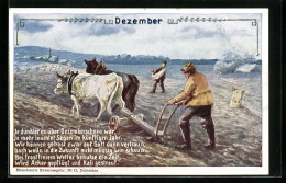 AK Bauernregel Für Dezember, Reklame Für Das Düngen Der Felder Mit Kali  - Publicité