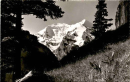 Balmhorn Und Altels Vom Allmen Aus (Kandersteg) (69) * 16. 7. 1959 - Kandersteg