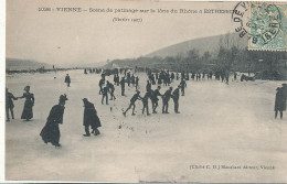 38 // VIENNE   Scène De Patinage Sur La Lone Du Rhone A ESTRESSIN    Février 1907 - Vienne
