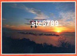 Carte Image Photographie AVION COUCHER DE SOLEIL  12,5 X 17,5 Cm - Other & Unclassified