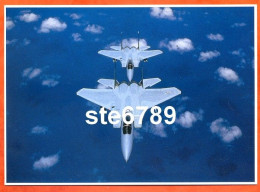 Carte Image Photographie AVION EAGLE F 15   US AIR FORCE  12,5 X 17,5 Cm - Other & Unclassified
