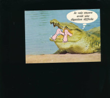 HUMOUR - Je Vais Encore Avoir Une Digestion Difficile - Crocodile - Humor