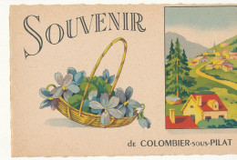 42 // Souvenir De COLOMBIER SOUS PILAT / (horizontale) Panier Fleuri - Other & Unclassified