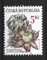 Ceska Rep. 2000 Nature Conservation Y.T.  241 (0) - Used Stamps