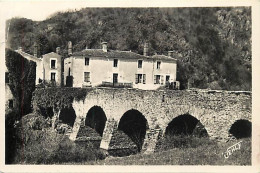 - Vendée -ref-F225- Chantonnay - Vieux Pont De Touchegray - - Chantonnay