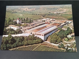 ESPAGNE   - CODORNU  "  Vue Aérienne Du Vignoble  "  Nc-   Net  4 - Barcelona