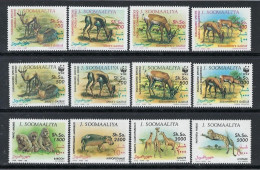 ● SOMALIA 1992 ֍ Fauna Somala ● Animali Vari ● N. 389 / 400 ** ● Cat. 56 € ● Lotto N. 1636 A ● - Somalië (1960-...)